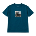wyluzowany-rottweiler (8).png