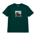 wyluzowany-rottweiler (7).png