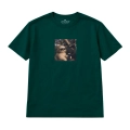 nocny-shih-tzu (5).png