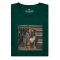 nocny-bokser.png