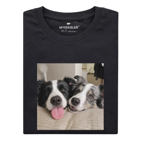 nierozłączne-border-collie.png
