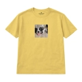 nierozłączne-border-collie (7).png