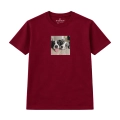 nierozłączne-border-collie (6).png