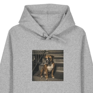 Bluza z kapturem NOCNY BOKSER