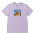 cocker-spaniel-marzycie-lawendowy.png