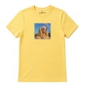 cocker-spaniel-marzycie-żółty.png