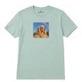cocker-spaniel-marzycie-aloesowy.png