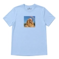 cocker-spaniel-marzycie-błękitny.png