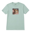 shiba-marzyciel-aloesowy.png