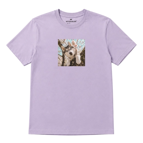 husky-marzyciel-lawendowy.png