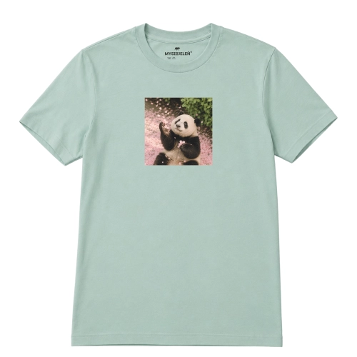 panda-marzycielka-aloesowy.png