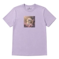 shihtzu-marzyciel-lawendowy.png