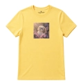 shihtzu-marzyciel-żółty.png