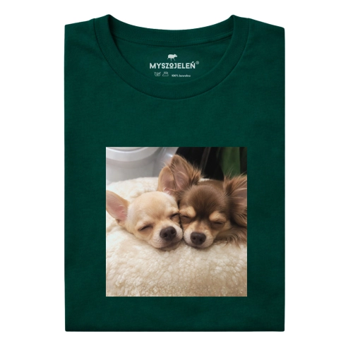 nierozłączne-chihuahuy.png