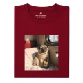 wyluzowany-mops.png