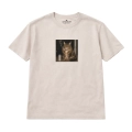 nocny-kot-maine-coon (4).png