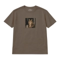nocny-kot-maine-coon (3).png