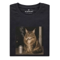 nocny-kot-maine-coon.png
