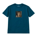 nocny-kot-maine-coon (6).png
