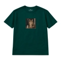 nocny-kot-maine-coon (5).png