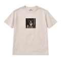 nocny-boston-terrier (4).png