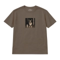 nocny-boston-terrier (3).png