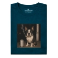 nocny-boston-terrier.png