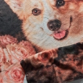 CORGI MARZYCIEL.png