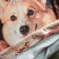 CORGI-MARZYCIEL.png