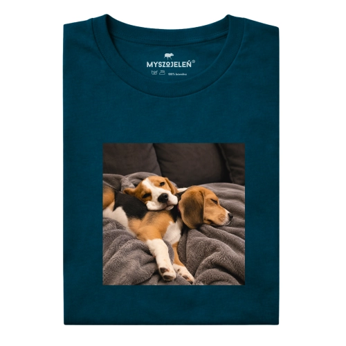 nierozłączne-beagle.png