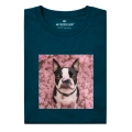 boston-terrier-marzyciel.png