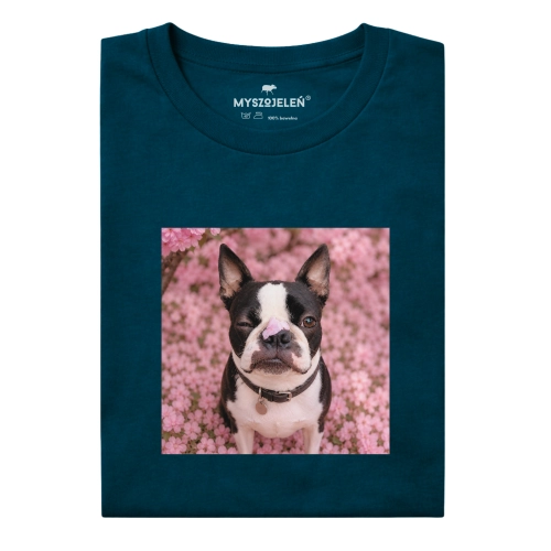 boston-terrier-marzyciel.png