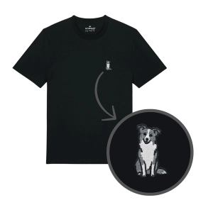 Haftowany T-shirt BORDER COLLIE SZARY