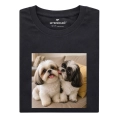 nierozłączne-shih-tzu.png