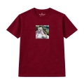 wyluzowany-westie (5).png