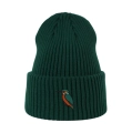 beanie_butelkowazielen-.png