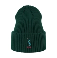 beanie_butelkowazielen-.png