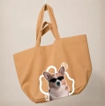incognito-corgi-piaskowy.png