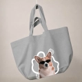 incognito-corgi-szara.png