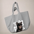 incognito-chihuahua-dlugowlosy-szara.png