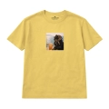 wyluzowany-cocker-spaniel (8).png