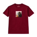 wyluzowany-cocker-spaniel (6).png