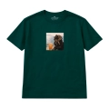 wyluzowany-cocker-spaniel (2).png