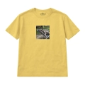 wyluzowany-amstaff (8).png