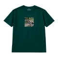 wyluzowany-amstaff (7).png