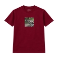 wyluzowany-amstaff (6).png