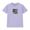 wyluzowany-amstaff (5).png