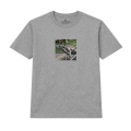 wyluzowany-amstaff (4).png