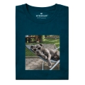 wyluzowany-amstaff.png