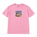 kotmainecoon.png